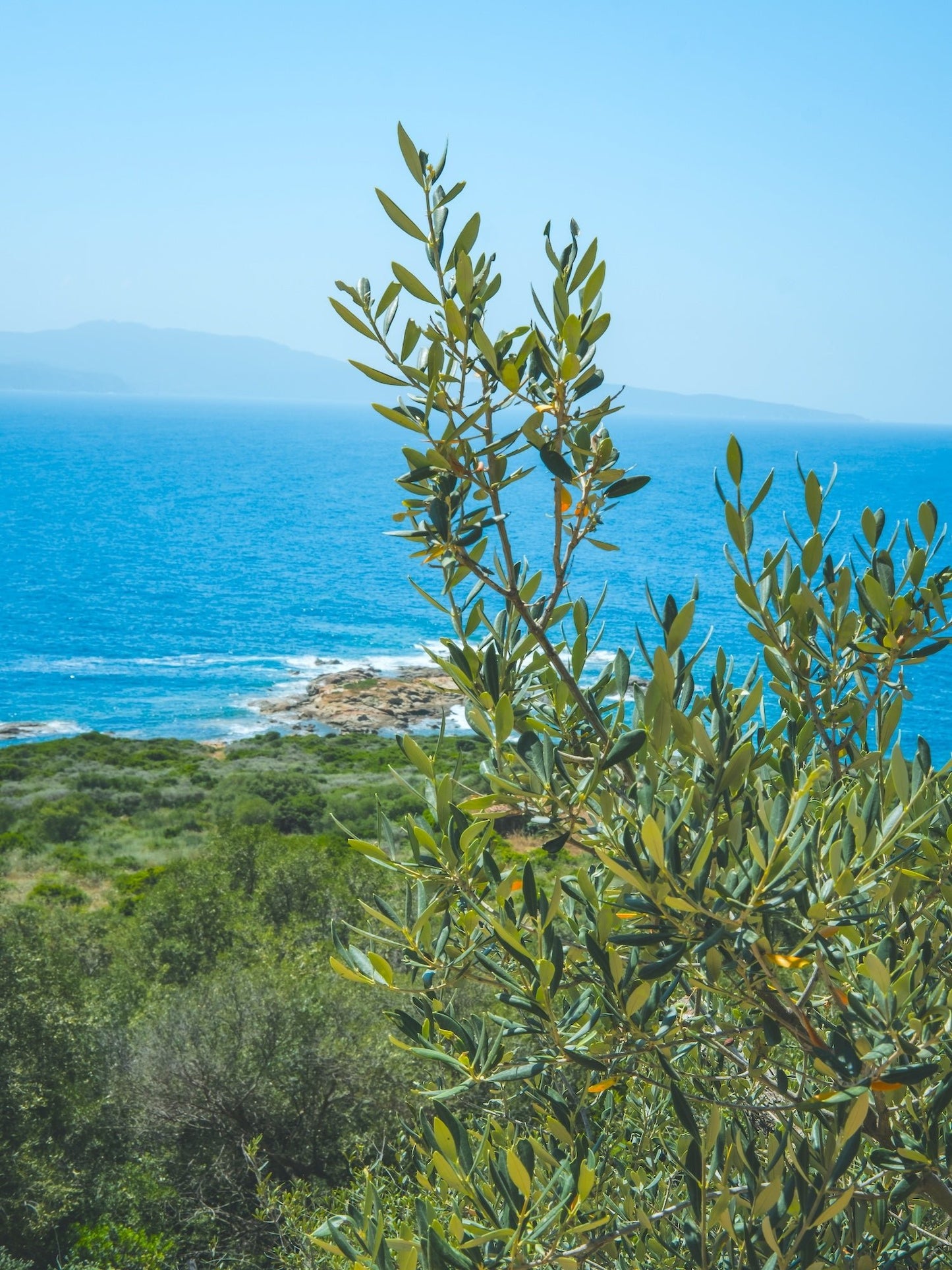 Cargèse - Villa Gemelli - The French Concierge