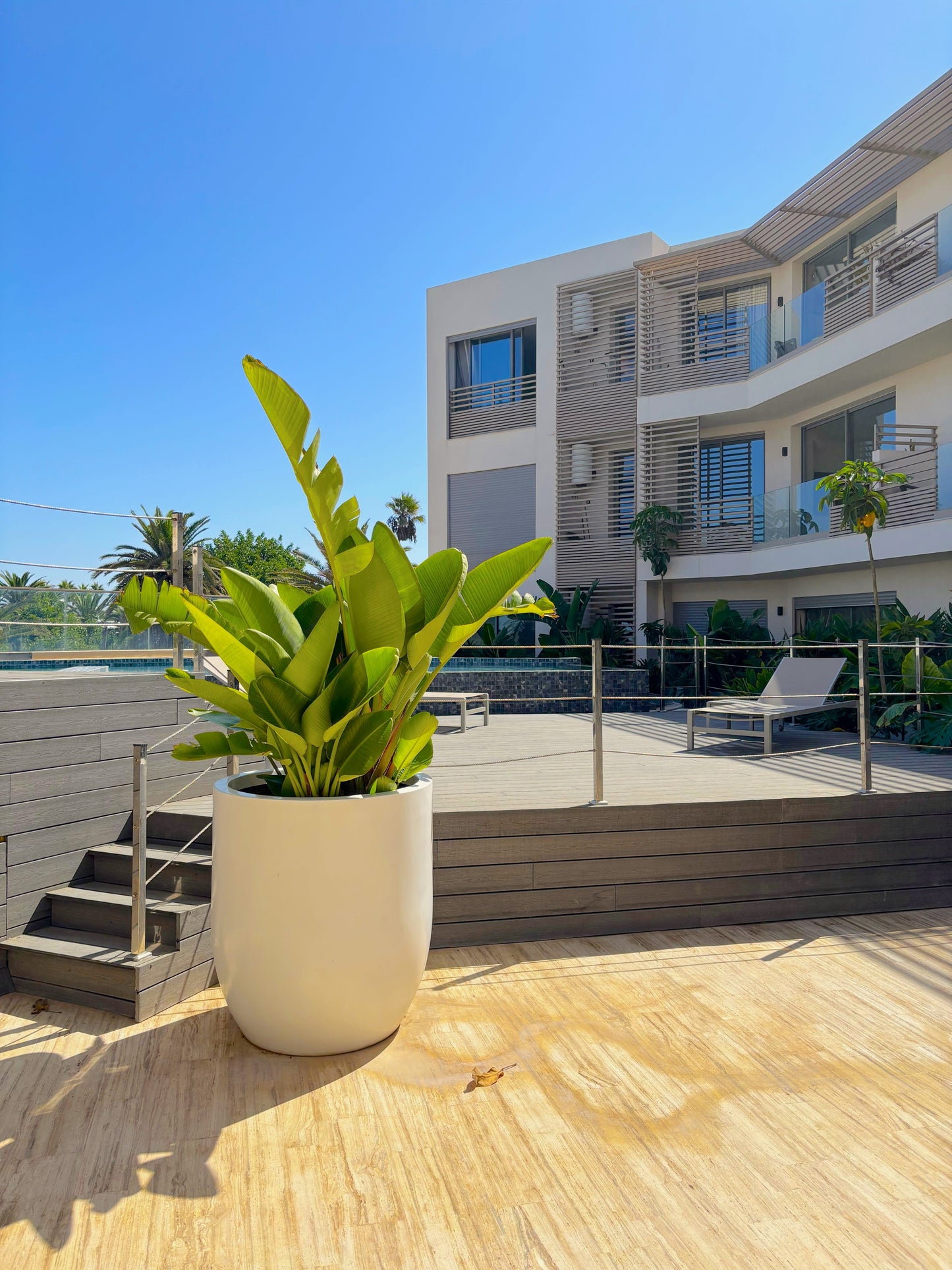 Casa Tina - The French Concierge
