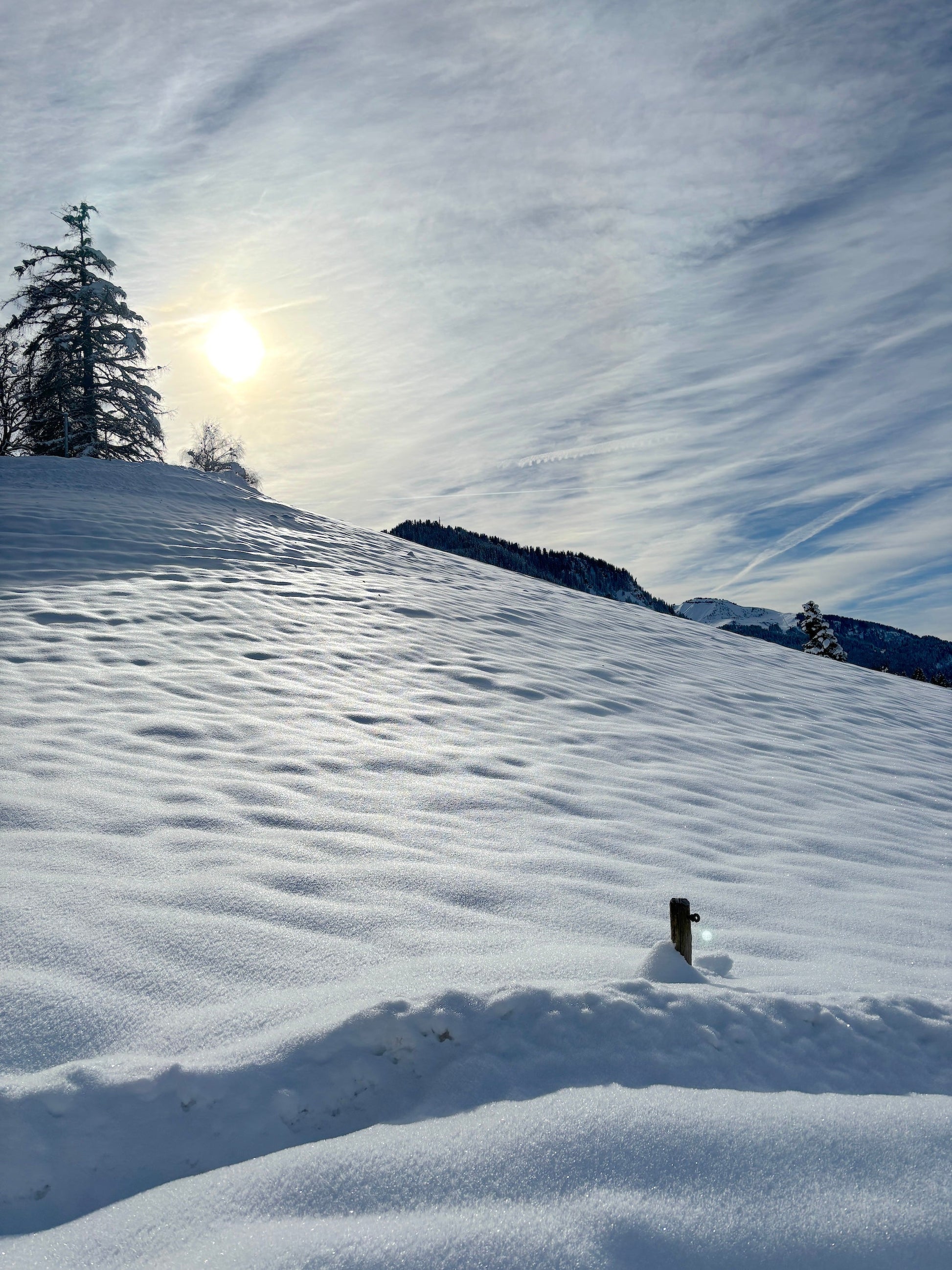Chalet Hermine - The French Concierge