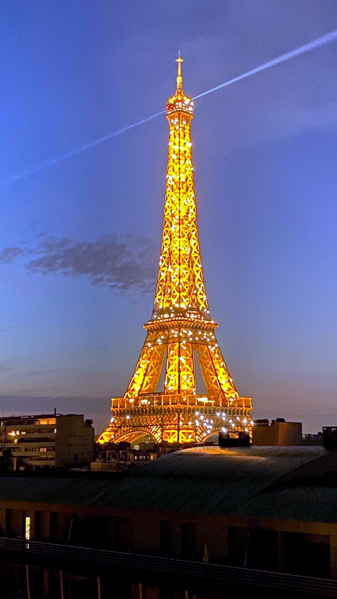 Le Penthouse Faure - The French Concierge