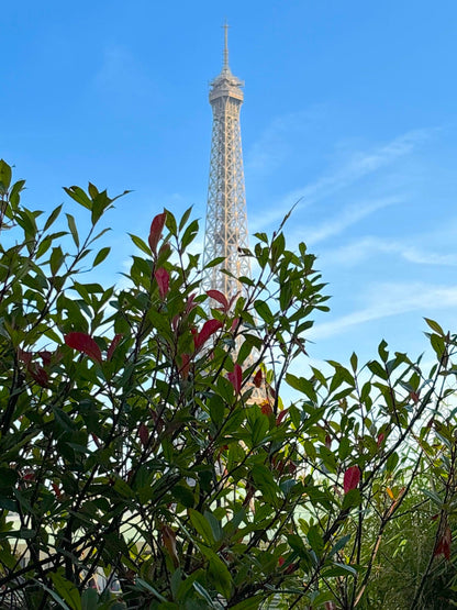 Le Penthouse Faure - The French Concierge