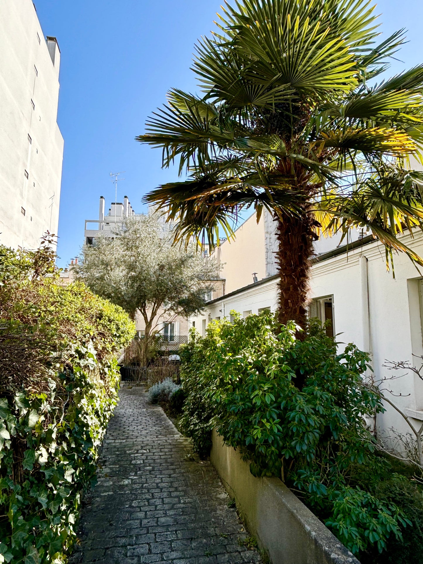 Loft Orfila - The French Concierge