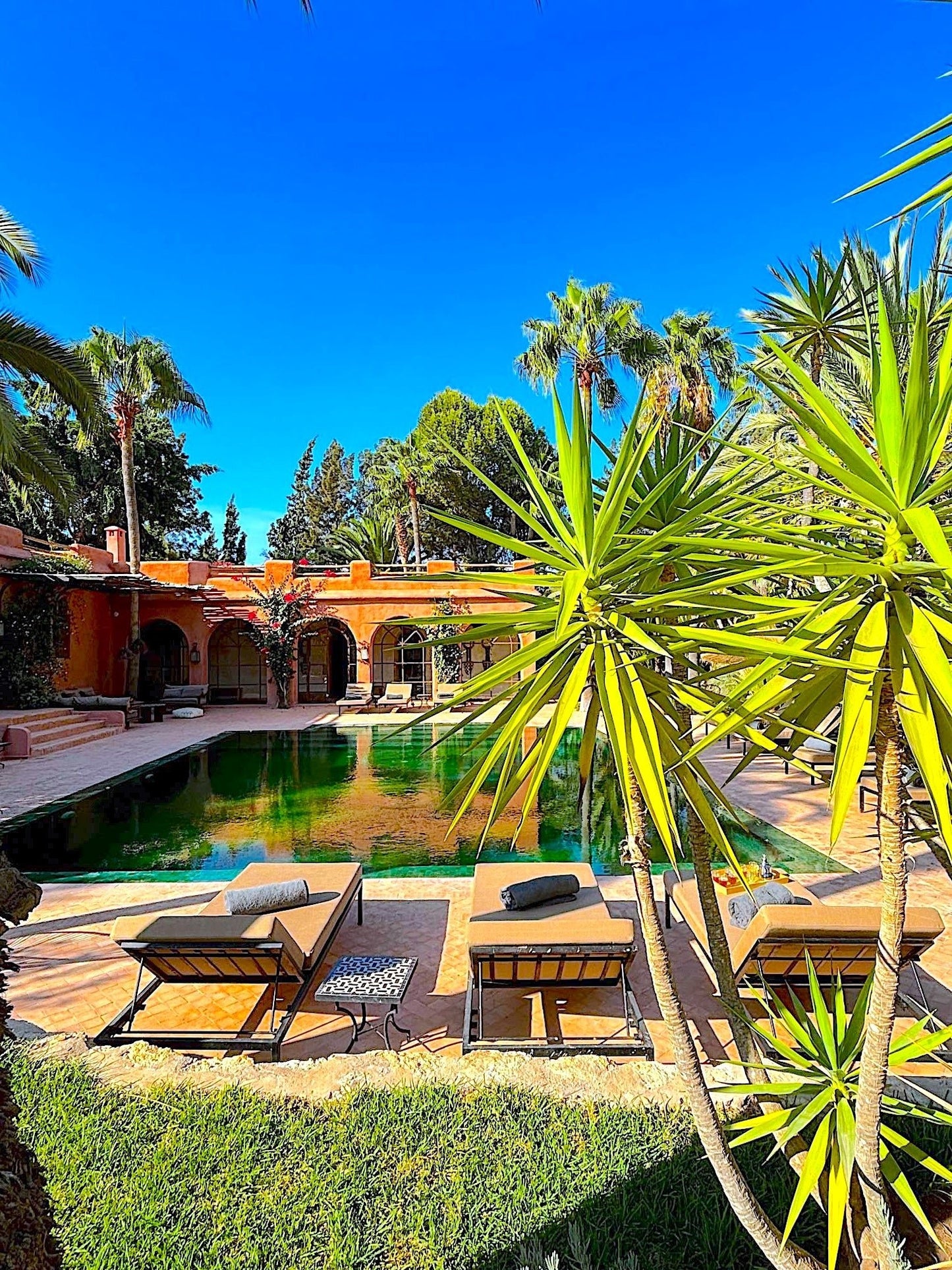 Palais Amon - The French Concierge