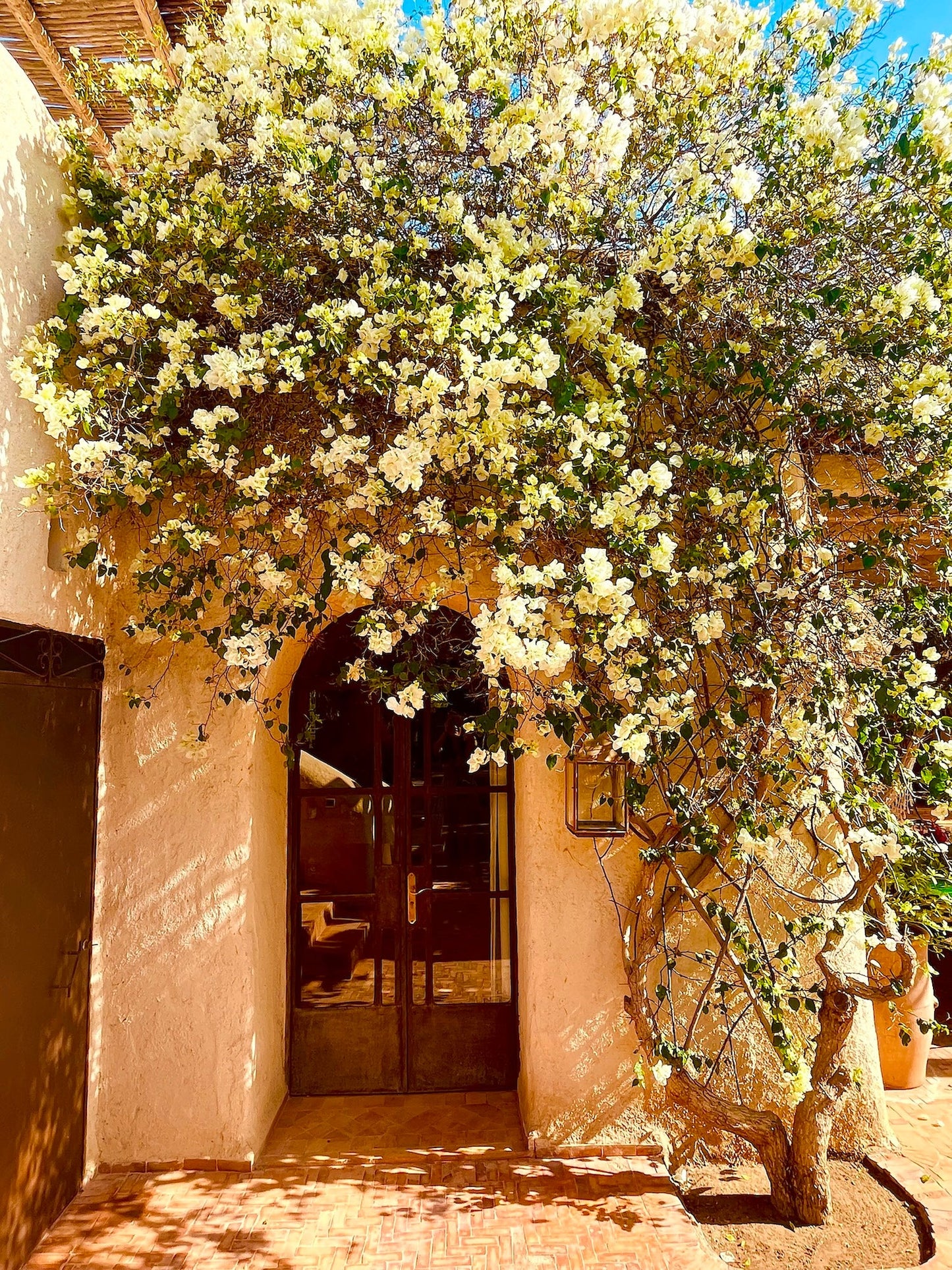 Palais Bouchka - The French Concierge