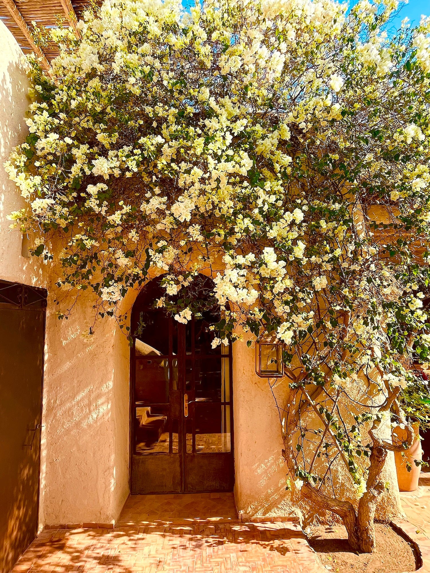 Palais Bouchka - The French Concierge