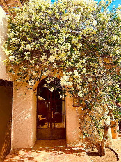 Palais Bouchka - The French Concierge
