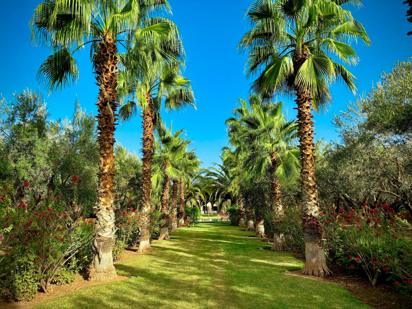 Palais Danka - The French Concierge