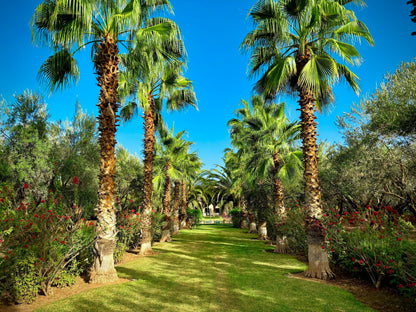 Palais Danka - The French Concierge