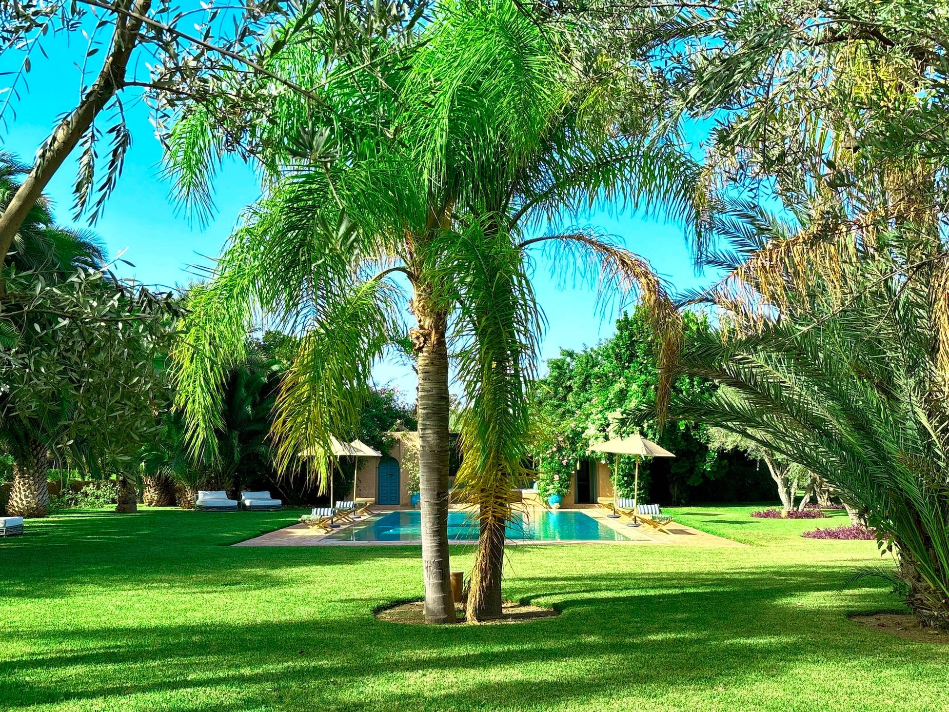 Palais Danka - The French Concierge