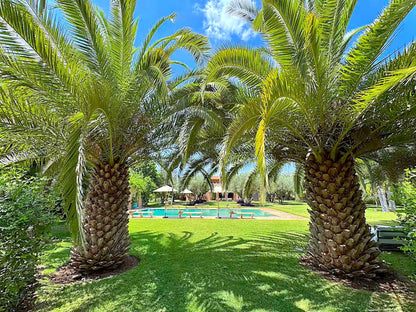 Palais Danka - The French Concierge