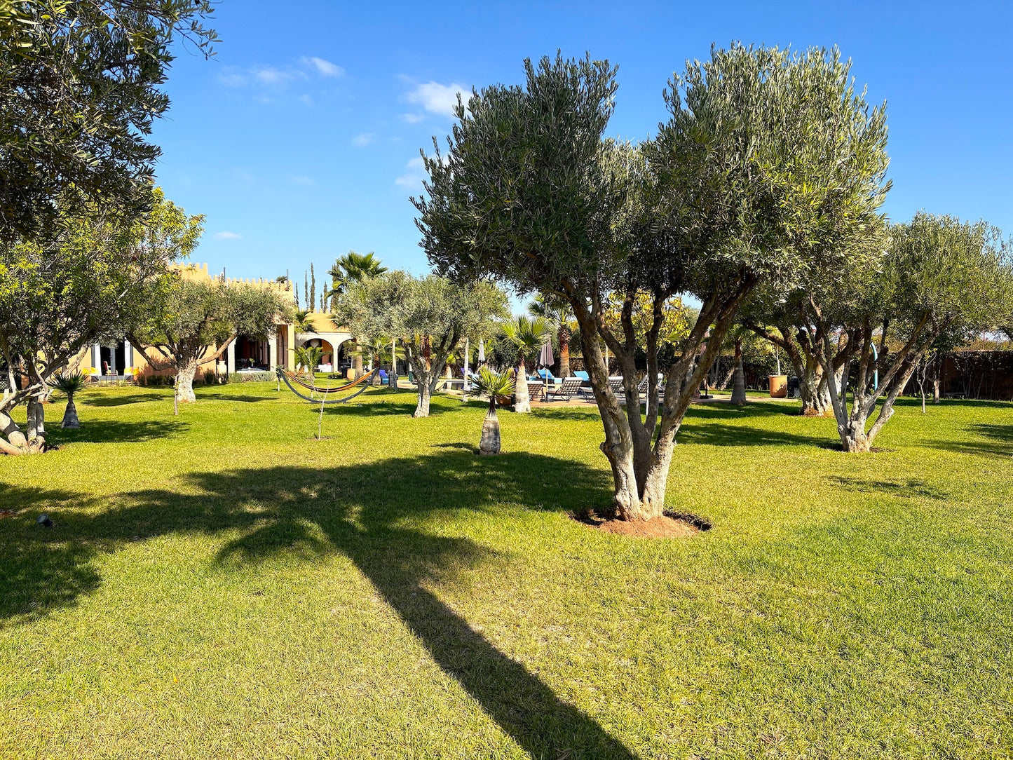 Palais Khemia - The French Concierge
