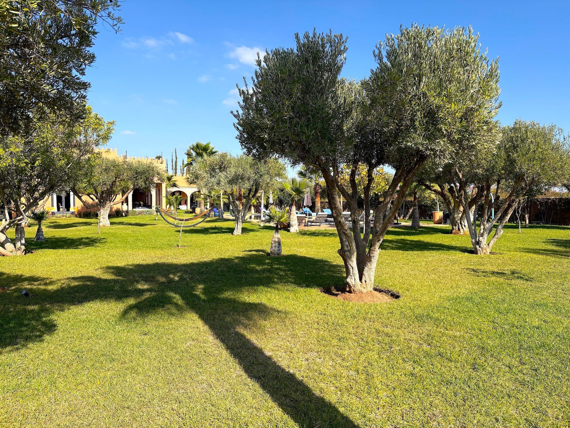Palais Khemia - The French Concierge