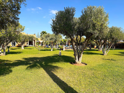 Palais Khemia - The French Concierge