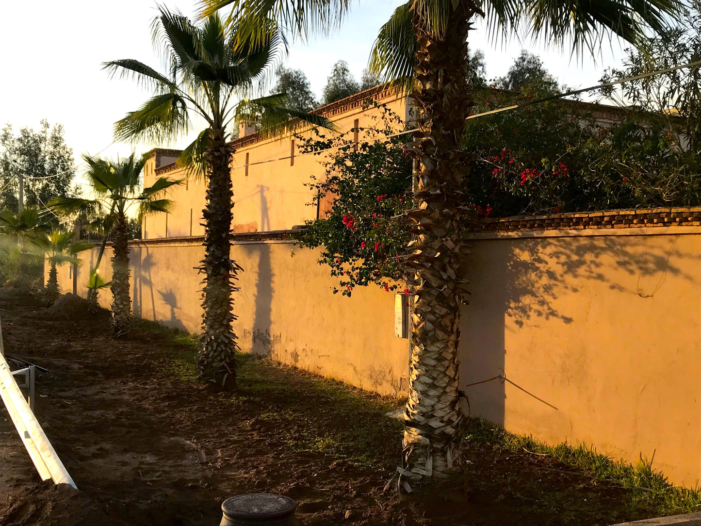 Palais Souad - The French Concierge