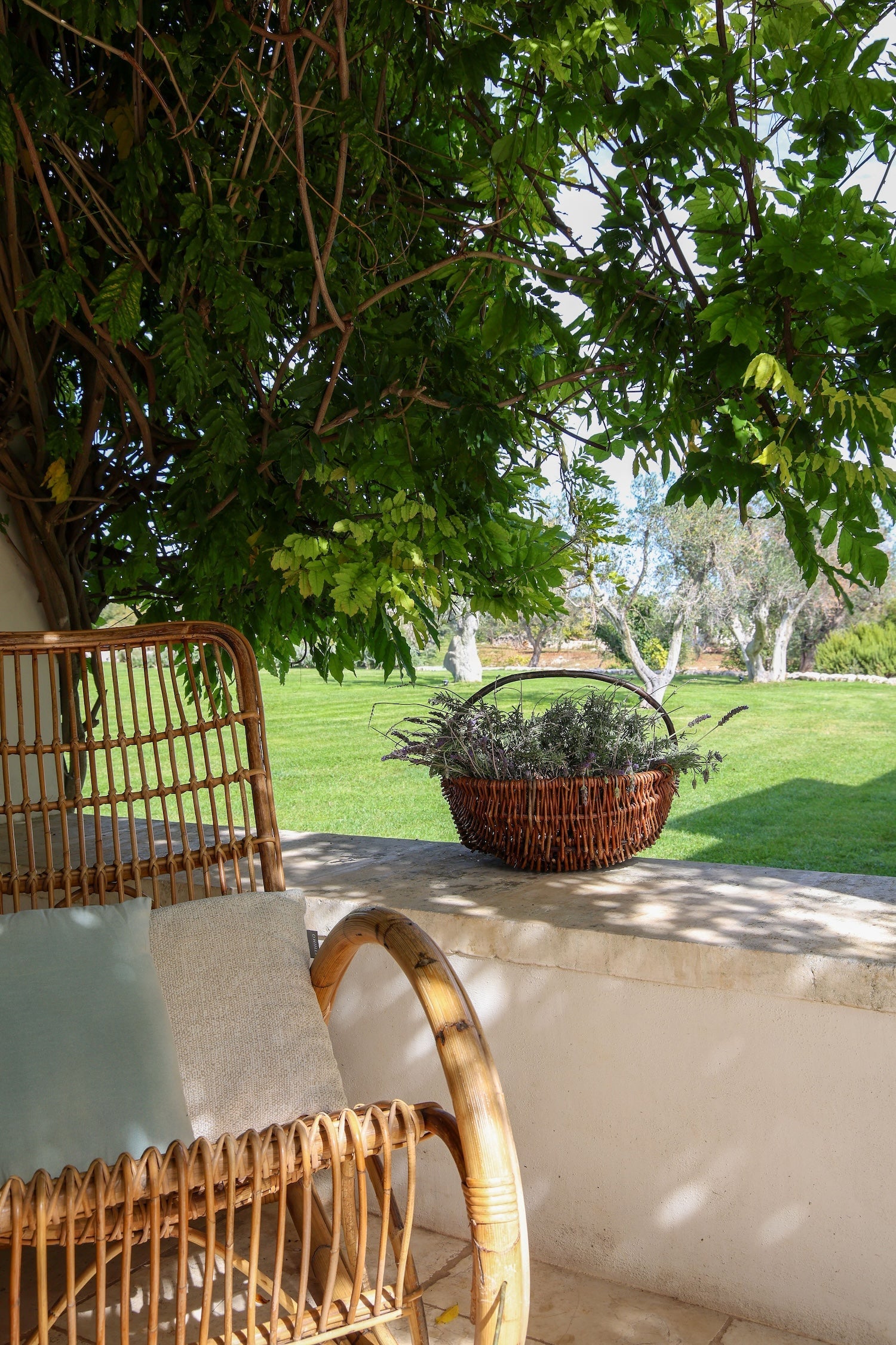 Palazzo Letizia - The French Concierge