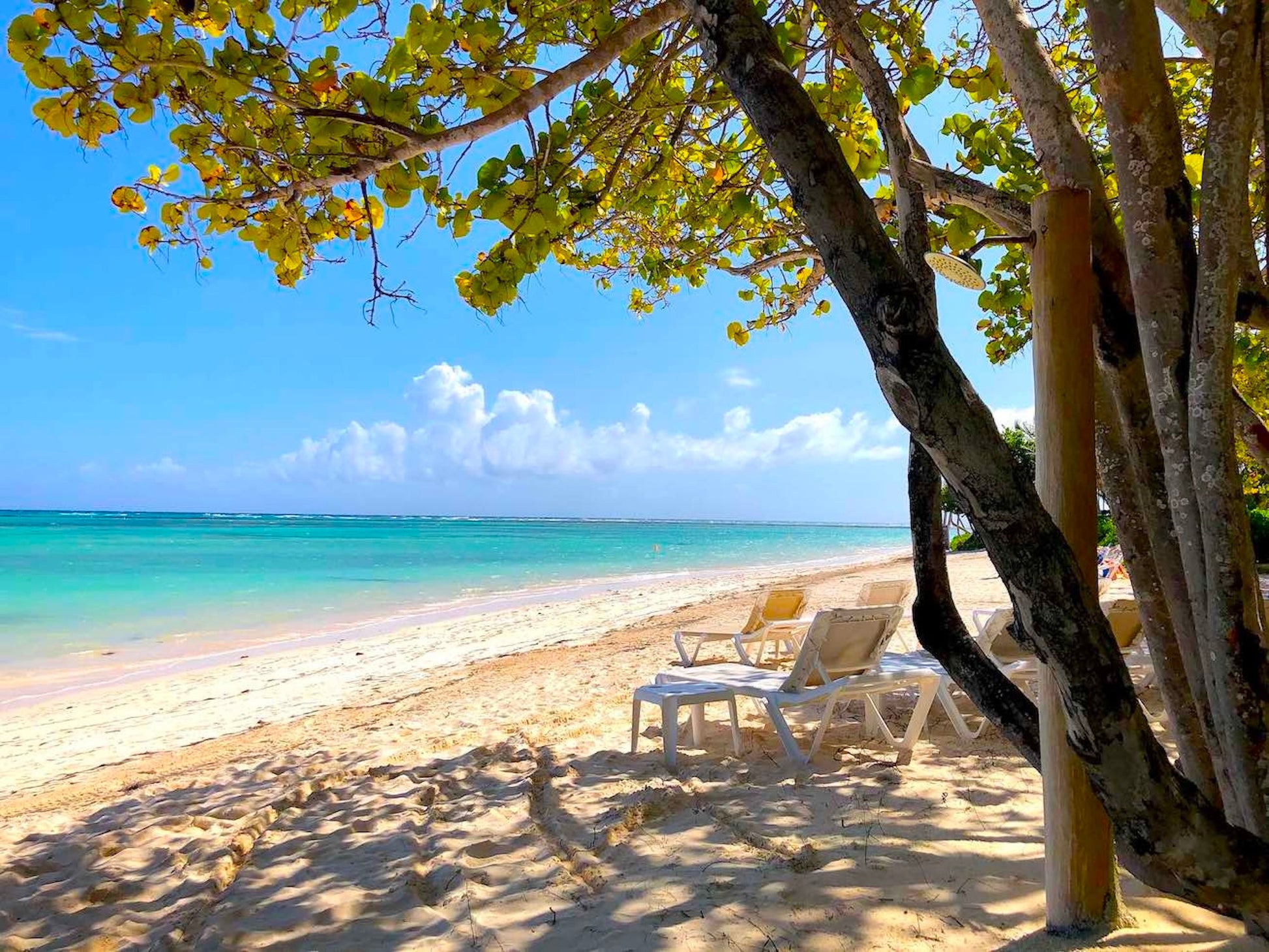Punta Cana - Villa Zoé - The French Concierge