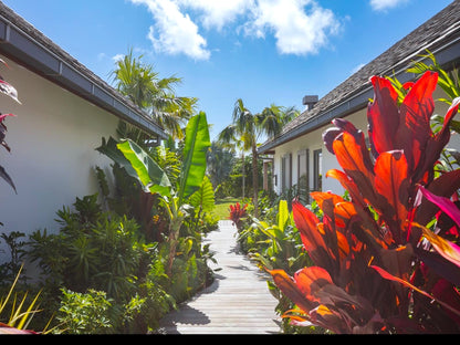 Saint - Barthélemy - Villa Tycia - The French Concierge