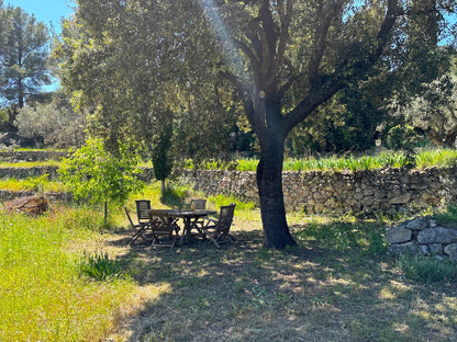 Sanary - sur - Mer - Villa Micéa - The French Concierge