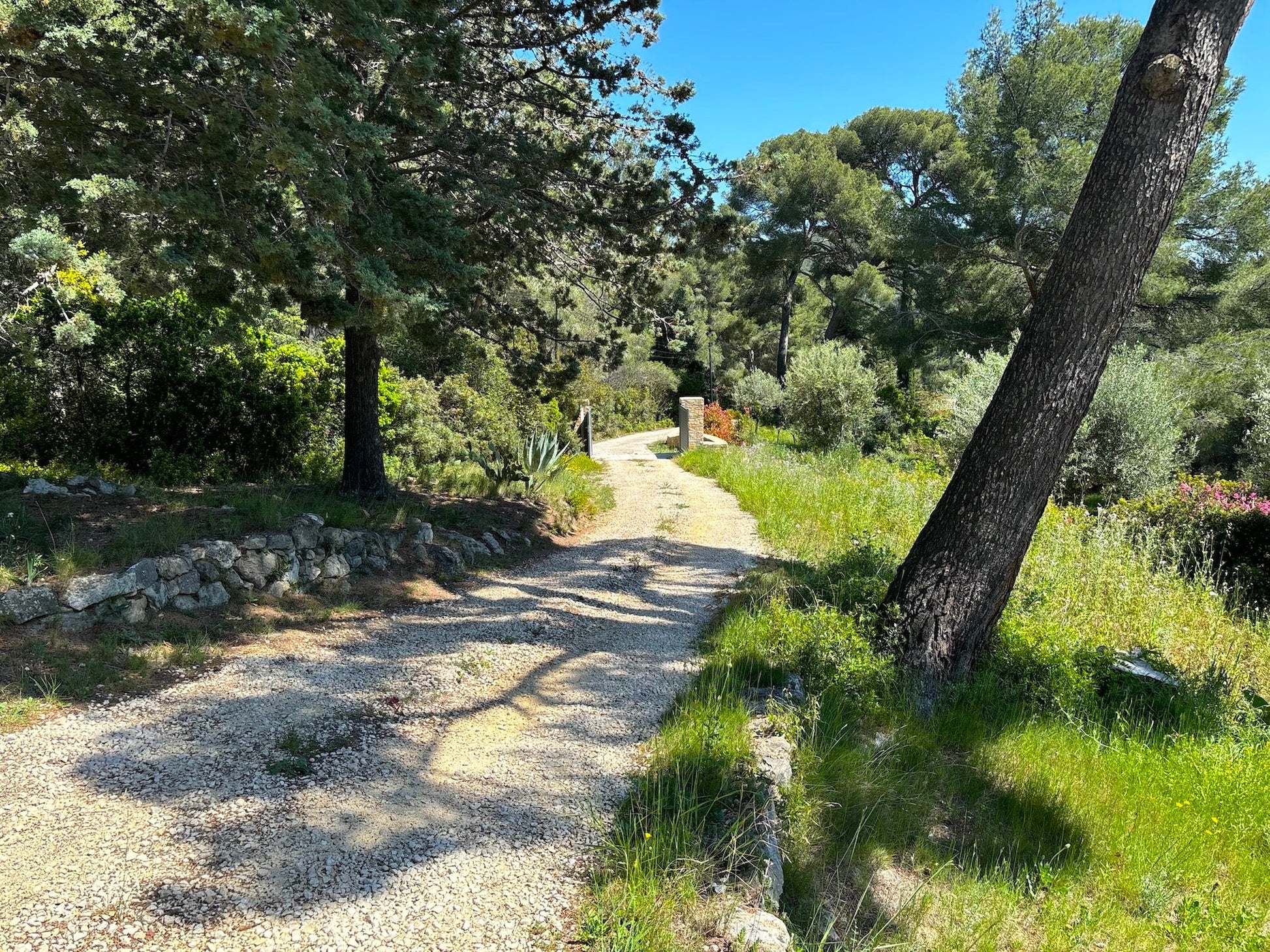 Sanary - sur - Mer - Villa Micéa - The French Concierge