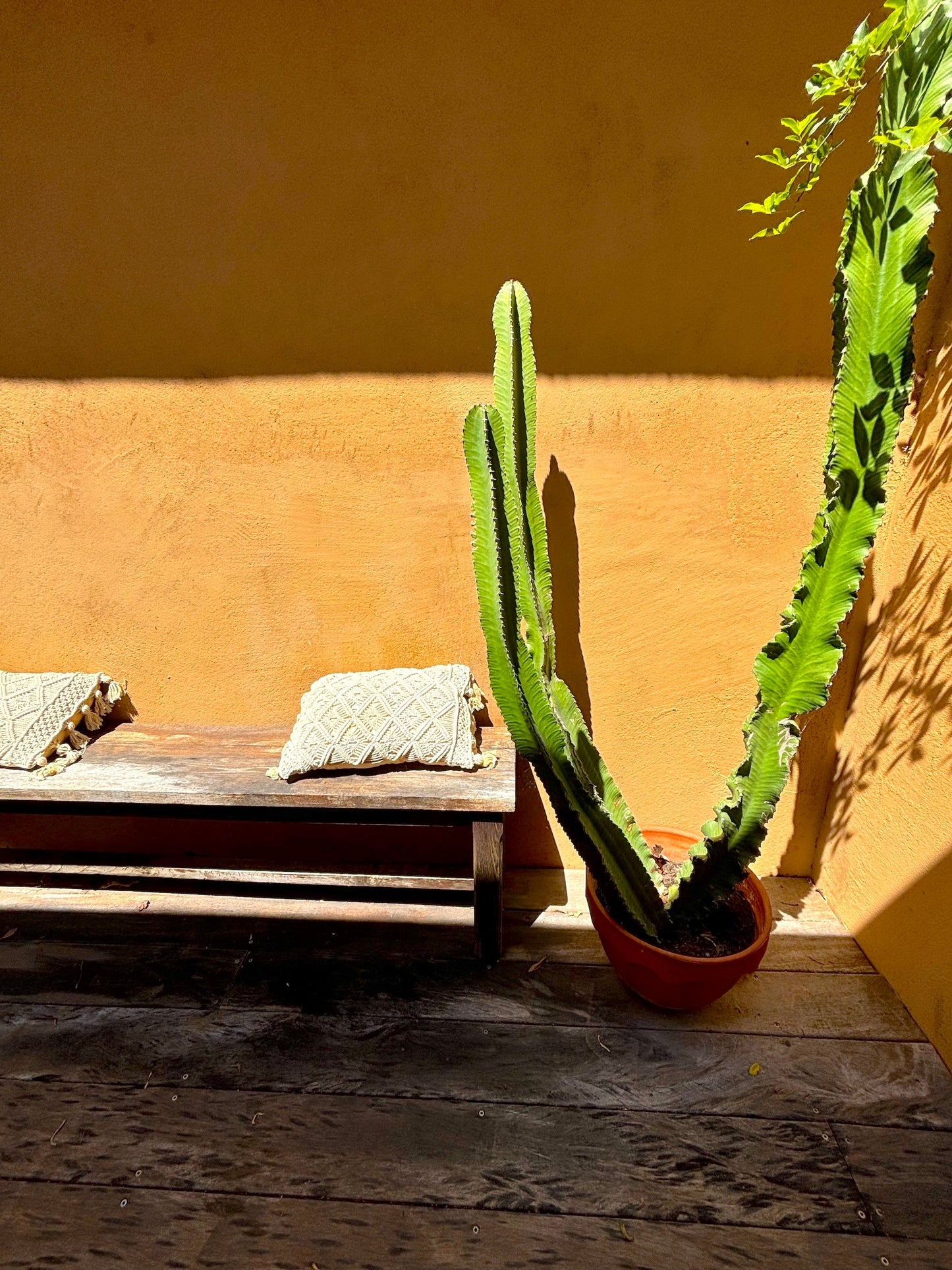 Sanary - sur - Mer - Villa Micéa - The French Concierge