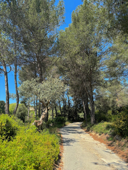 Sanary - sur - Mer - Villa Micéa - The French Concierge