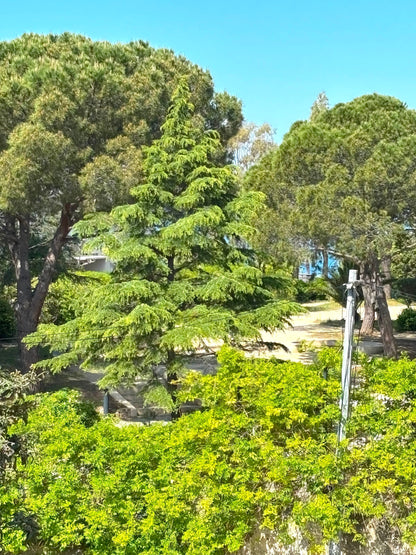 Toulon - Villa Iza - The French Concierge