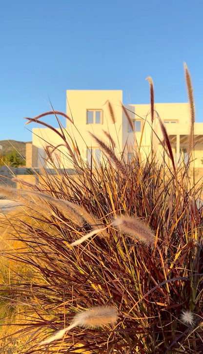 Villa Darros - The French Concierge