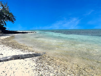 Villa le Veloutier - The French Concierge