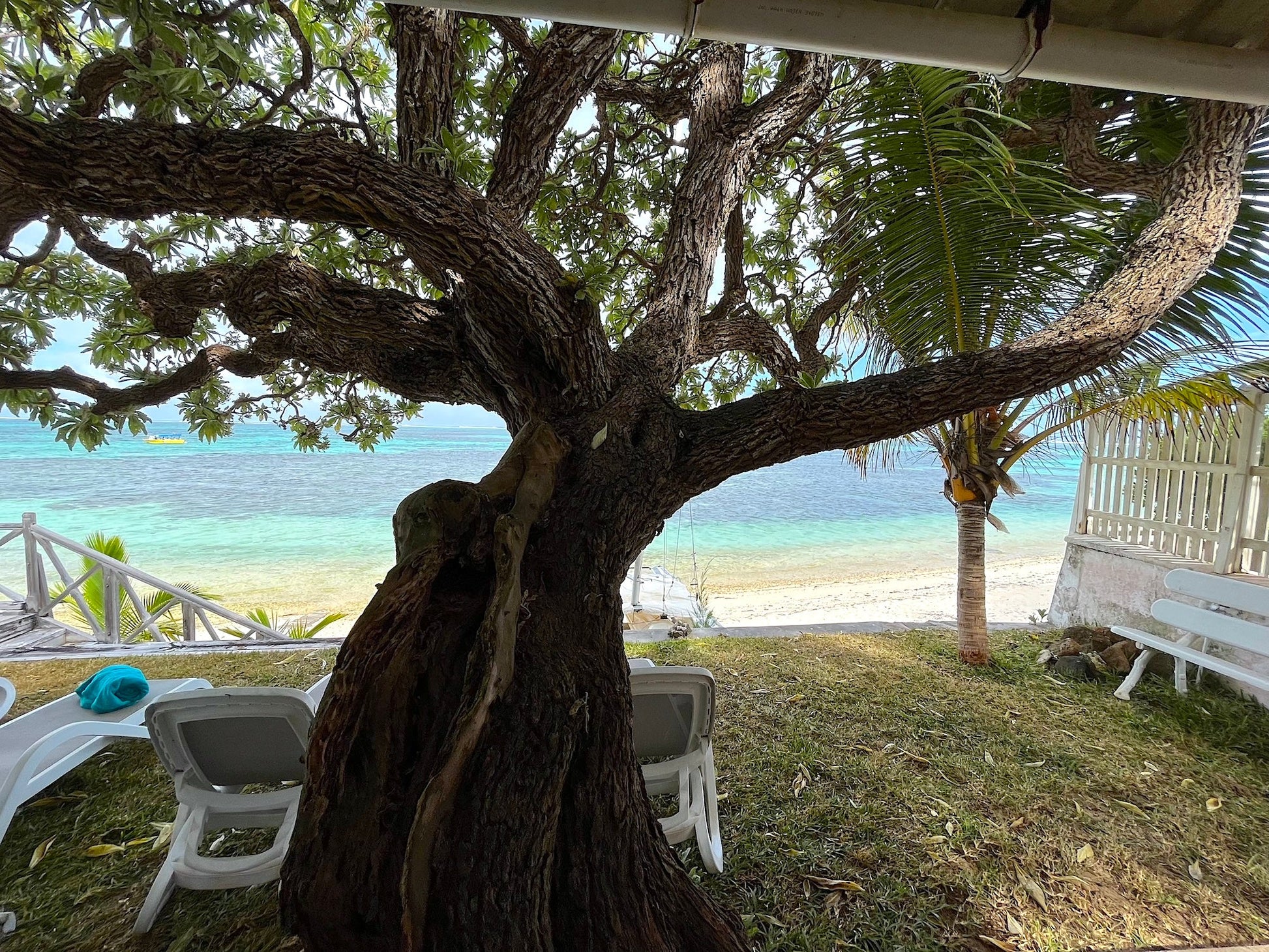 Villa le Veloutier - The French Concierge