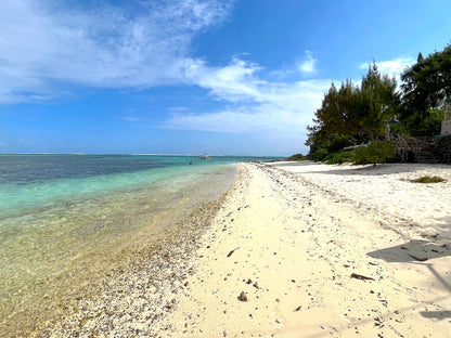 Villa le Veloutier - The French Concierge