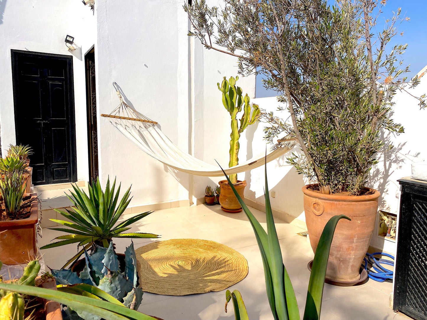 Palais Princesse - The French Concierge